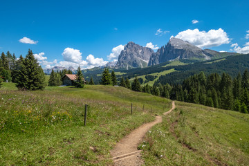 Fototapeta na wymiar Sentiero tra le Dolomiti