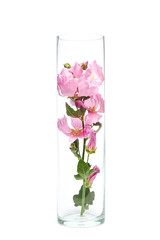 Herbal wildflowers in a glass flask, isolate. Natural cosmetics, flower extract