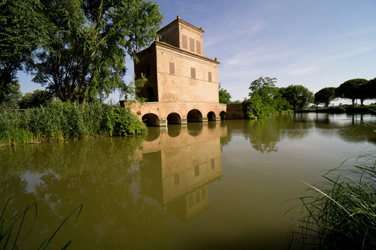 Park of the Po Delta, Mesola Torre Abate