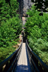 Fototapeta premium wooden bridge across a river in the forest