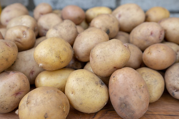 raw potato background, summer vegetable harvesting