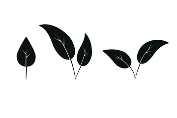 Fototapeta premium vector illustration of a black leaves isolated on white background
