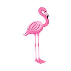 Cartoon character of pink tropical flamingo bird, vector illustration isolated.