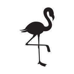 Flamingo elegant black silhouette icon or symbol, vector illustration isolated.
