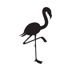 Black flamingo silhouette isolated on white background