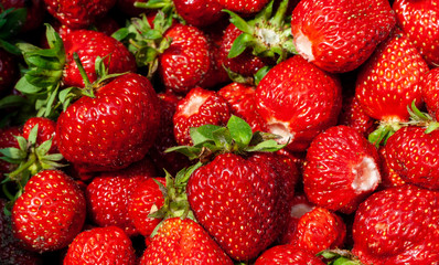 Juicy beautiful red freshly picked strawberries. Healthy and wholesome Food background. Many natural strawberries close-up, top view. Macro shot of strawberry texture in sunny day Banner for web site