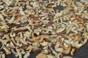 coconut drying in the sun for oil extraction