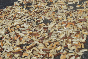 coconut drying in the sun for oil extraction