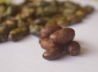 Image of dried cocoa beans