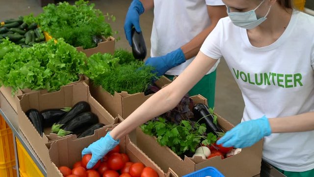 Volunteers packing vegetables for charity