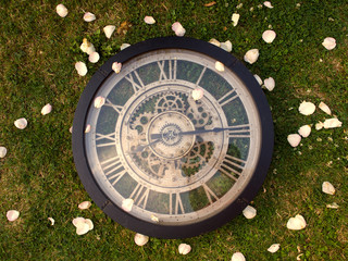a clock in the garden lying on the grass with rose petals with a visible mechanism, a symbol of the passing of time