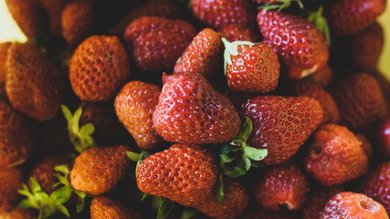 A lot of red strawberries in a tray, close-up. Fresh, juicy strawberries as texture with sepia effect, film camera. Banner for the site. Macro photo of natural strawberries from the garden
