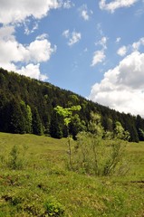 Unterwegs zur Modaualm im Berchtesgadener Land