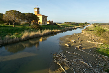 Fototapeta na wymiar Italy, Tuscany, Grosseto, Maremma, Marina di Alberese, Natural Park of Maremma, also called Uccellina, the mouth of the river Ombrone
