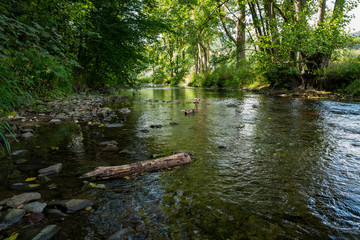 Idyllische Flusslandschaft
