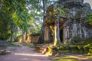 Part of the Angkor Thom, the ancient ruin in Siem Reap, Cambodia, which covered by trees and moss. 