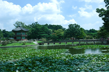 The scenery of  summer of green colorful park.
