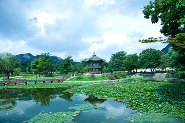 Fototapeta premium The scenery of summer of green colorful park.