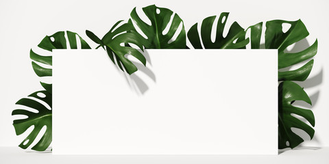 Minimal cosmetic background for product presentation. Tropical green leaves of monstera philodendron with white step background. 3d render illustration. Clipping path of each element included. © 3DJustincase