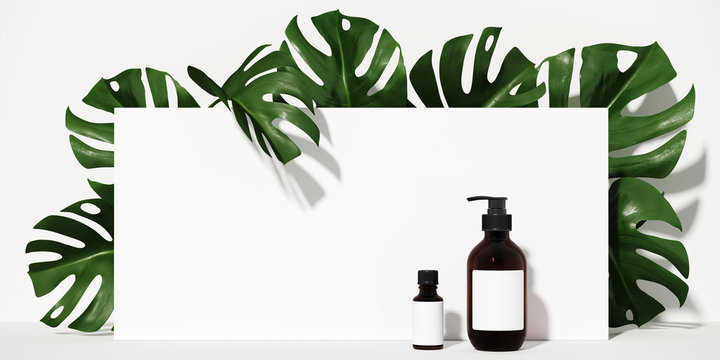 Minimal cosmetic background for product presentation. Tropical green leaves of monstera philodendron with white step background. 3d render illustration. Clipping path of each element included.