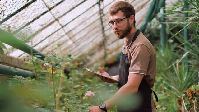 Young man gardener in glasses and apron with digital tablet working in a garden center for better quality control. Environmentalist using digital tablet in greenhouse.