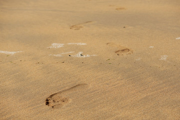 Fototapeta na wymiar Foot prints on a yellow ocean sand.