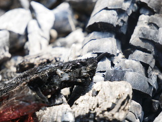 charcoal in the fireplace