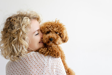 Adorable toy poodle puppy in arms of its loving owner. Small adorable doggy with funny curly fur...