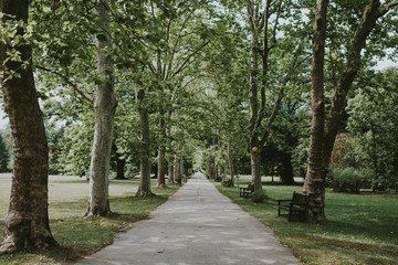 path in the park