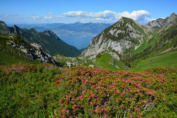 JOLIE VUE DE MONTAGNES DU CHABLAIS
