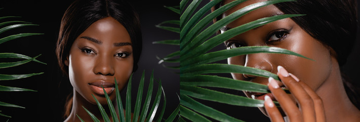 collage of african american woman near green palm leaves isolated on black