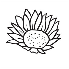 Fototapeta premium Sunflower. Vector image of hand drawn sunflowers isolated on white background at retro style