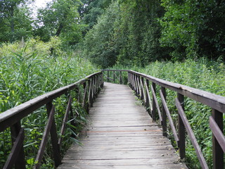 Fototapety  Drewniany most przez las w parku przyrody. Pojęcie ekoturystyki