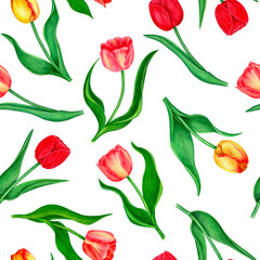 Seamless floral patter with tulips. Vintage watercolor collection. White background