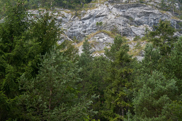 Scenic view of rocky cliffs with pine trees. Coniferous forest in the foreground.