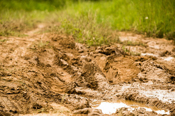 Off-road in the forest