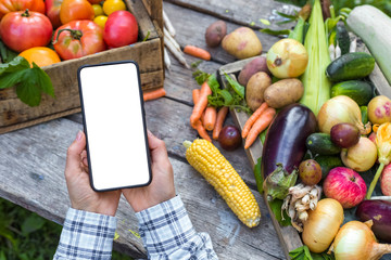 Online ordering of organic farm vegetables and fruits. Mobile phone white screen on food background.