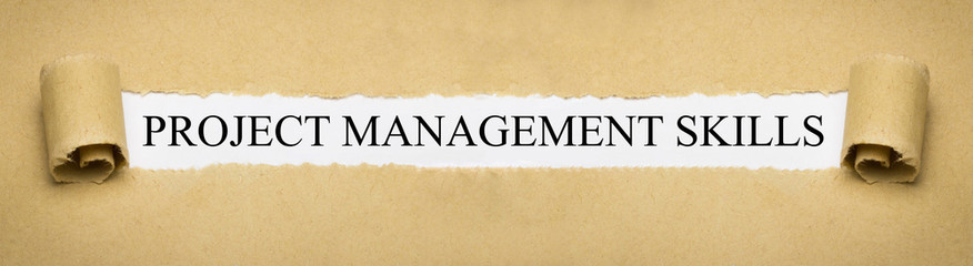 Project Management Skills