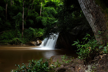 scenic view of water in forest