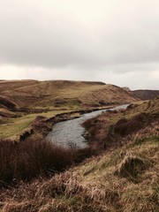 Picture of the landscape of Ireland