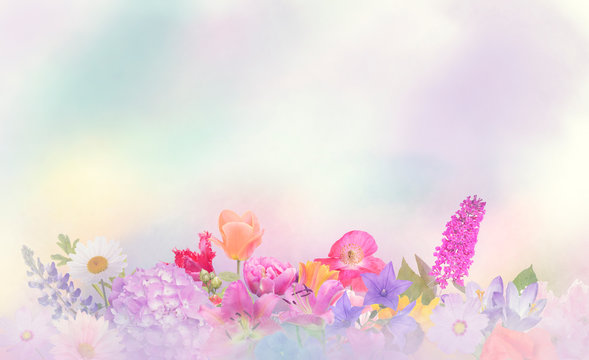 Colorful flowers for background.