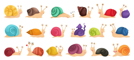 Vector illustration of a big collection of snail characters in cartoon style. Set of multicolored emotional, happy, smiling, funny snails for kids design or speed © Morgan Ph