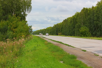 cars driving on the highway through forest belts
