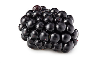 blackberries isolated on white background. healthy background. macro