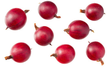 red gooseberry isolated on white background. Top view.