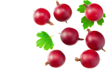 red gooseberry with leaves isolated on white background. Top view.