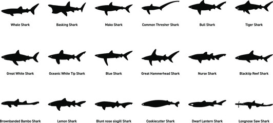 A Set of Shark Icon's/Illustrations - obrazy, fototapety, plakaty