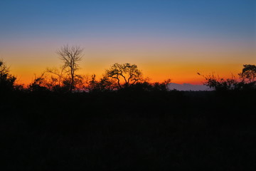 Fototapeta na wymiar Der abendhimmel über der Steppe von Südafrika