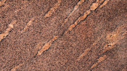 
Different backgrounds, different textures, different colors and sizes
