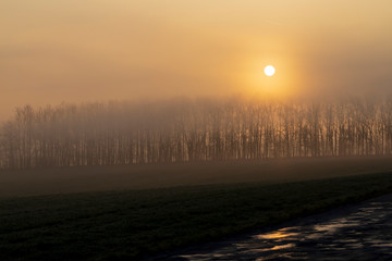 sunrise near Znojmo, South Moravia, Czech Republic